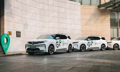 Hai “cánh tay” trong hệ sinh thái của tỷ phú Phạm Nhật Vượng chính thức nhập làm một: Vốn điều lệ vọt lên 43.400 tỷ