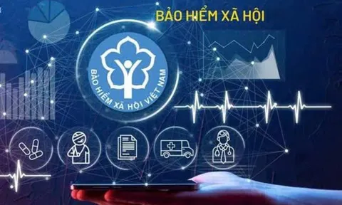 Hà Nội công khai gần 28.000 doanh nghiệp nợ bảo hiểm, APAX đứng đầu hơn 64 tỷ