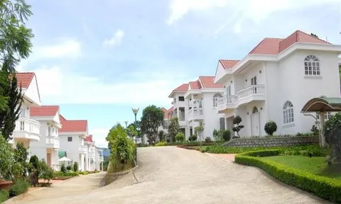 Thanh tra Lâm Đồng đề nghị kiểm tra hiện trạng đất dự án làng biệt thự tại Đà Lạt: Chủ đầu tư “biến mất”, không cung cấp hồ sơ