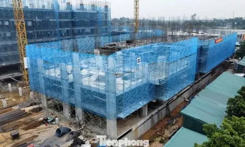 Hướng dẫn mới nhất xác nhận thu nhập mua NOXH cho lao động tự do