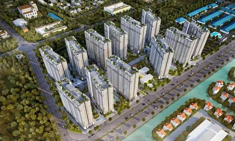 Hà Nội giao gần 59.000m2 đất cho Him Lam làm nhà ở xã hội, không qua đấu giá