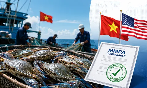 Ghẹ Việt “qua cửa” Mỹ ngoạn mục: Giữ thị trường lớn nhất, đối thủ Philippines bị loại khỏi cuộc chơi