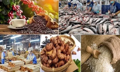 Xuất khẩu nông, lâm, thủy sản đạt 56,3 tỷ USD, 3 tháng cuối năm cần “chạy” thêm gần 18 tỷ USD