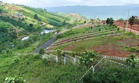 Đất nền phân lô “chôn vốn” 4 năm: Cắt lỗ 30–50% vẫn không bán được