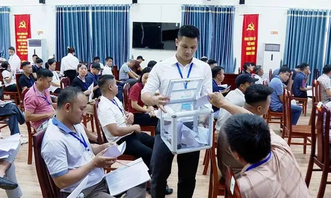 Đất đấu giá vùng ven Hà Nội "nóng" trở lại, lô cao nhất gấp hơn 5 lần giá khởi điểm