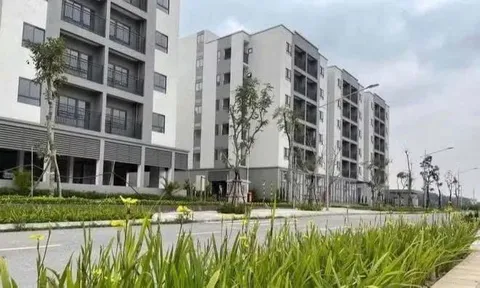 Hiếm có ở Hà Nội: mở bán hàng trăm căn nhà ở xã hội giá chưa tới 1 tỷ