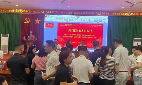 Đất đấu giá Hà Nội lại “nóng”: Một lô đất xã Ô Diên trúng 117,4 triệu đồng/m², vừa đấu giá xong đã rao chênh nửa tỷ