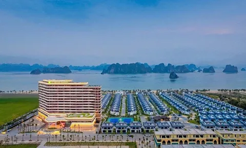 CEO Group: Mở thêm công ty BĐS khi lãi 147 tỷ nhưng dòng tiền kinh doanh âm 1.650 tỷ, nợ vay gấp 3,2 lần đầu năm