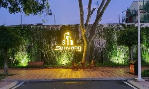 "Bà trùm hoa hậu" Phạm Kim Dung và chồng – Đạo diễn Hoàng Nhật Nam: Hệ sinh thái giải trí – BĐS cực khủng, nhưng vừa bị nhắc tên vì... nợ bảo hiểm!