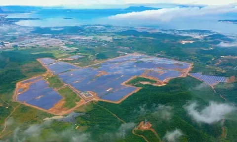 Doanh nghiệp trong hệ sinh thái KN Investment của đại gia Lê Văn Kiểm gánh hơn 1.270 tỷ nợ, lợi nhuận lao dốc gần 42%