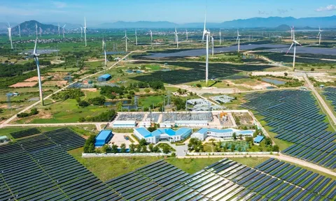 Loạt báo cáo trái phiếu, tài chính công bố chậm thông tin qua nhiều năm: Trung Nam Group bị phạt