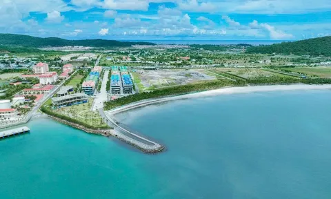 Chủ đầu tư Selavia báo lỗ gần 52 tỷ trong 6 tháng đầu năm 2026, đang “gánh” hơn 7.100 tỷ đồng nợ phải trả