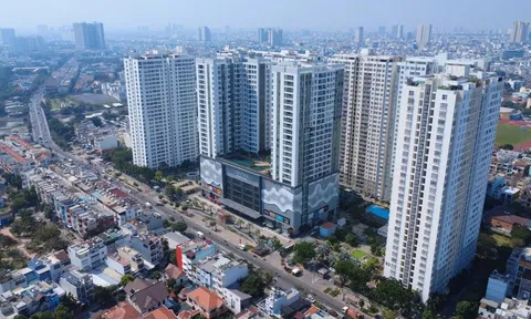 Vừa lên Upcom hơn 1 tháng, Sacomland tiến tới hủy tư cách công ty đại chúng