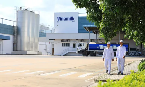 Vinamilk chia sẻ kinh nghiệm giảm phát thải trong bối cảnh thị trường carbon chuẩn bị hình thành