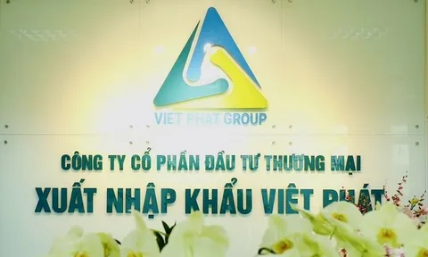 Việt Phát (VPG) liên tiếp bị cưỡng chế thuế, doanh thu quý II từ 4.370 tỷ “rơi” còn 386 triệu đồng
