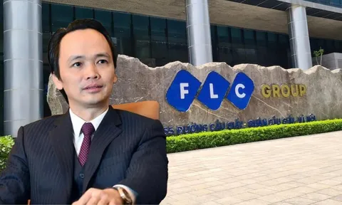 Hai doanh nghiệp liên quan hệ sinh thái FLC chậm đóng hơn 82 tỷ đồng bảo hiểm tại Gia Lai