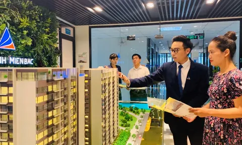 Loạt báo cáo gốc, lãi trái phiếu công bố không đúng hạn, Đất Xanh Miền Bắc bị Thanh tra Chứng khoán xử phạt