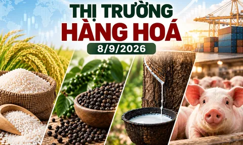 Gạo giảm nhẹ, hồ tiêu “đứng giá”, cao su bứt phá trên các sàn châu á