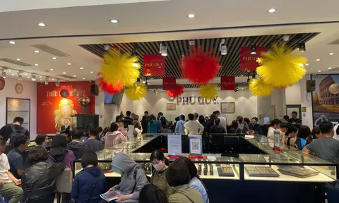 Bắt đáy vàng khi giảm gần 30 triệu/lượng: Cơ hội hay “bẫy tâm lý”? chuyên gia đưa ra cảnh báo