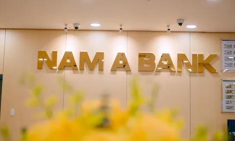 Nam A Bank Đắk Lắk bị Thanh tra yêu cầu chấn chỉnh công tác thẩm định, phê duyệt cho vay