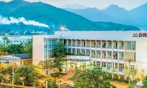 DRC biến động nhân sự: Thêm 1 phó tổng xin nghỉ, lợi nhuận “bốc hơi” một nửa