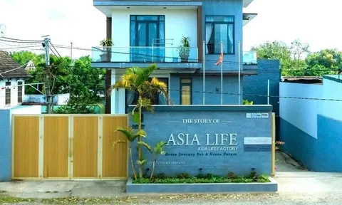 Bóc trần đường dây thực phẩm giả: Vợ chồng Chủ tịch Asia Life thu lợi hơn 6 tỷ đồng