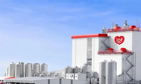 Lãi tăng sốc nhưng nợ vẫn cao: Bức tranh trái chiều tại Sữa Quốc tế LOF