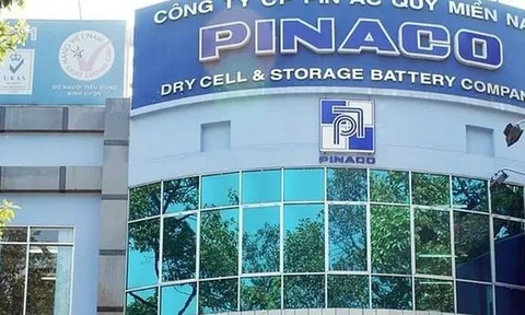 Pinaco – doanh nghiệp sản xuất pin Con Ó, ắc quy Đồng Nai bị kiểm toán chỉ ra hàng loạt lỗ hổng quản lý