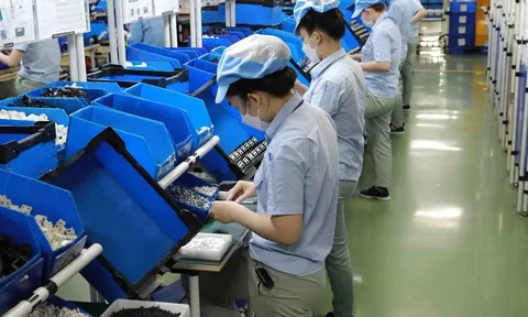 Hơn 57.000 doanh nghiệp thành lập mới sau 3 tháng: Kinh tế khởi sắc nhưng áp lực giải thể cũng tăng mạnh