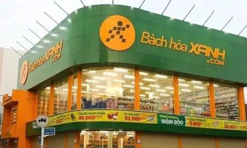 Thế Giới Di Động báo lãi hơn 2.700 tỷ quý I: Lợi nhuận tăng 78%, động lực đến từ điện máy và Bách Hóa Xanh “lên form”