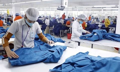 Hơn 138.000 doanh nghiệp thành lập mới trong 8 tháng, vốn đăng ký vượt 1,7 triệu tỷ đồng