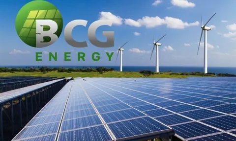 BCG Energy bất ngờ báo lỗ, dư nợ vay hơn 6.650 tỷ đồng, hai khoản đầu tư lớn tại Tâm Sinh Nghĩa gây chú ý