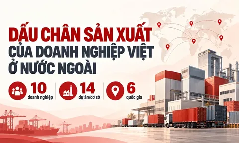 VinFast, THACO, Vinamilk và loạt ông lớn Việt mang hàng tỷ USD ra nước ngoài xây nhà máy, phát triển vùng nguyên liệu