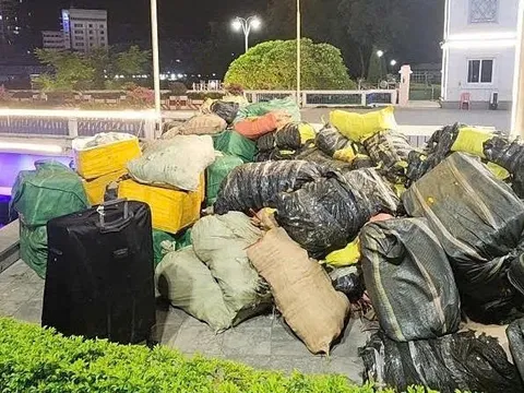 Bắt giữ hơn 10 tấn lạp xưởng, trứng gà non và nầm lợn nhập lậu từ Trung Quốc