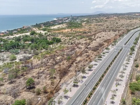 Loạt “ông lớn” Sun Group, Novaland, Eco Grand Land, Hoa Sen rót hơn 35.000 tỷ đồng đầu tư vào Lâm Đồng