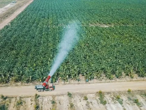 Toàn bộ cổ phần doanh nghiệp sắp IPO của HAGL được bầu Đức đem đi cầm cố ngân hàng