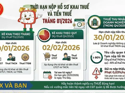Thuế TP.HCM thông báo nóng tháng 01/2026: Doanh nghiệp, cá nhân cần lưu ý