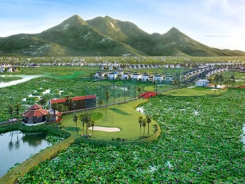 TIG bị phạt vì chậm công bố thông tin, lợi nhuận lao dốc