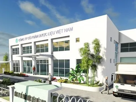 DVM “rơi tự do”: Lãi quý 1 gần như bay sạch sau một năm, chuyện gì đang xảy ra?