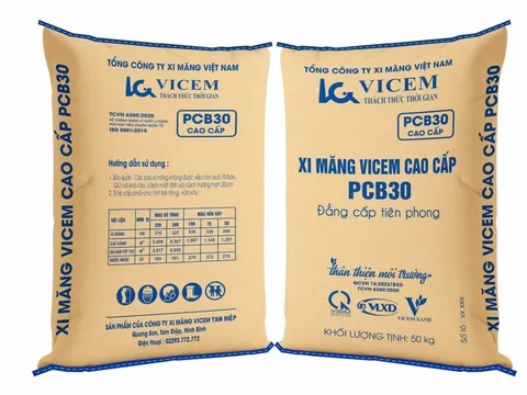Vicem: Ba công ty con lỗ lũy kế hơn 8.100 tỷ đồng, loạt dự án nghìn tỷ tồn đọng