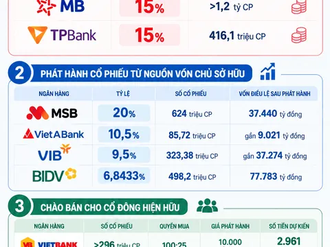 Ngân hàng ồ ạt tăng vốn: MB, MSB, TPBank… chuẩn bị tung hàng tỷ cổ phiếu ra thị trường