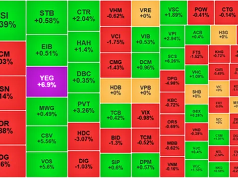 Chứng khoán ngày 24/12: Bão tháo hàng DXG-DXS, VN-Index thoát hiểm phút chót