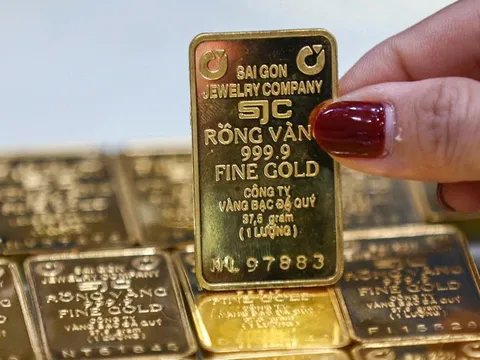 Vàng miếng rơi về đáy gần 4 tháng: SJC lao về 165 triệu/lượng, chênh thế giới vẫn hơn 20 triệu