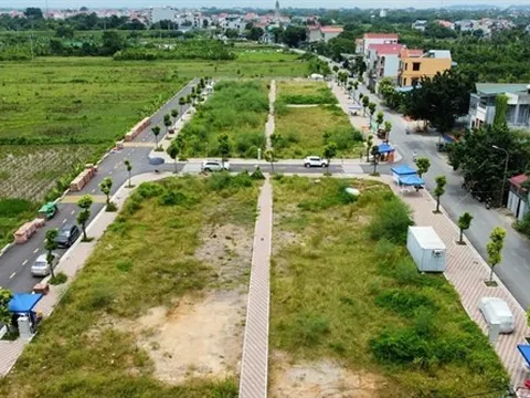 Hà Nội: Đất ven đô lại "sốt" – Giá trúng đấu giá cao nhất hơn 90 triệu/m2!