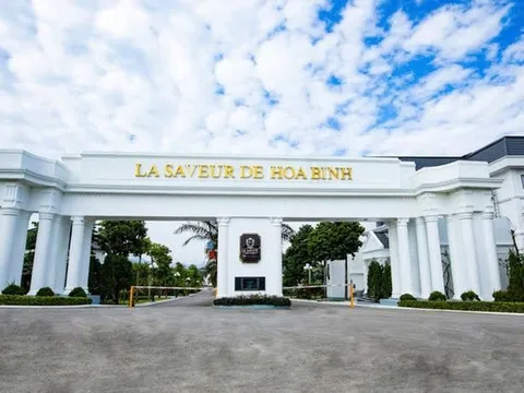 Chủ đầu tư La Saveur De Hòa Bình: Nợ thuế gần 849 tỷ, dự án bị mang đi thế chấp vay 840 tỷ