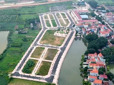 HoREA đề xuất cấm doanh nghiệp “thổi giá rồi bỏ cọc” khi đấu giá đất