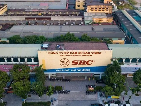 Hơn 6 ha đất vàng Cao – Xà – Lá duyệt làm nhà cao tầng, vốn gần 18.600 tỷ