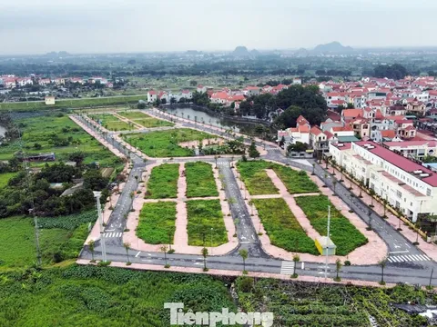 “Sốt đất” qua đi: Đất đấu giá vùng ven Hà Nội thành bãi cỏ hoang, không một bóng người