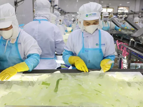 GC Food bị phạt 425 triệu đồng, lợi nhuận năm 2025 sau kiểm toán giảm hơn 62 tỷ đồng