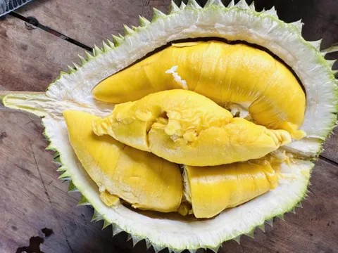 Tin sốc cho team cuồng sầu riêng: Musang King giá rẻ bất ngờ!